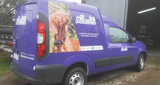 Ploteo vehicular - Estudio INI